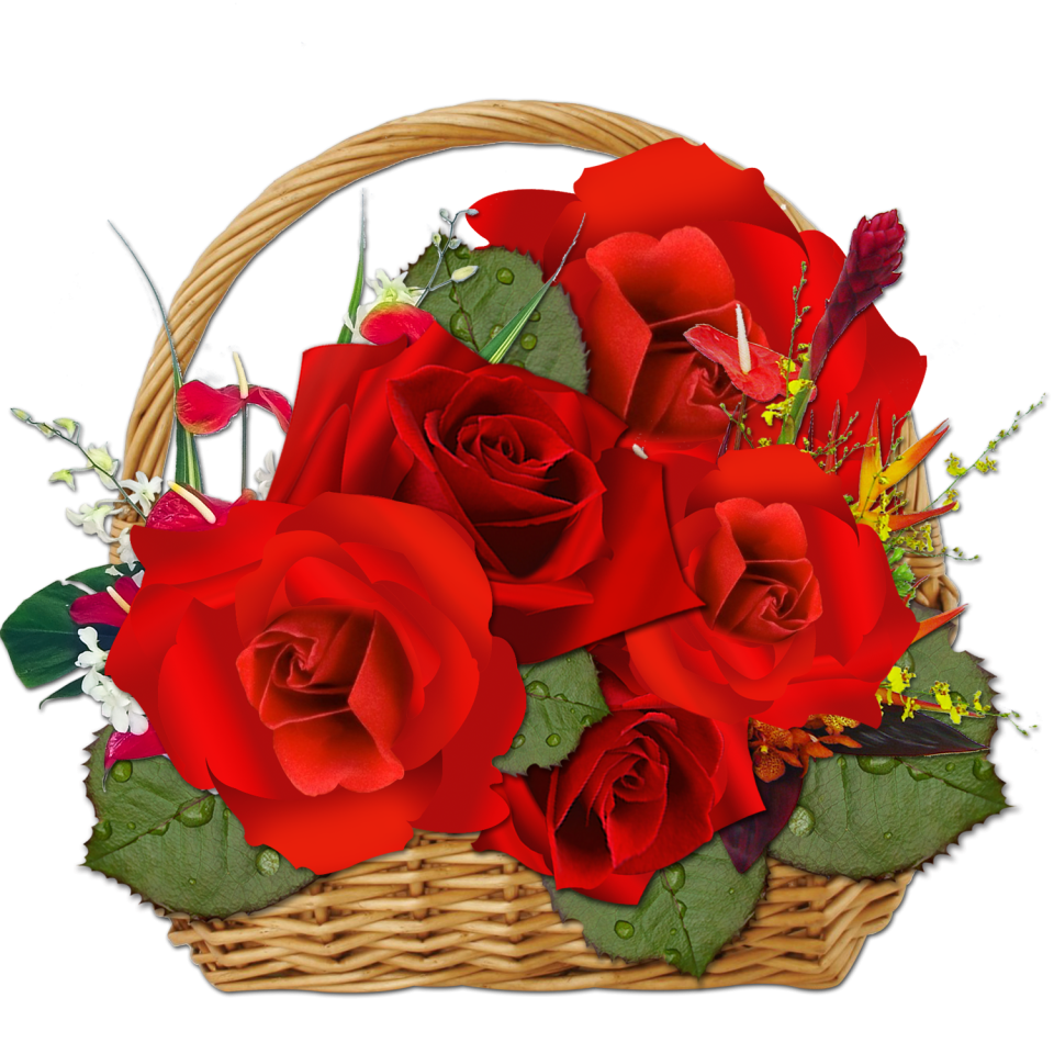 Romantic Red Rose PNG - Photo #930 - DirectPNG - Download Free and ...